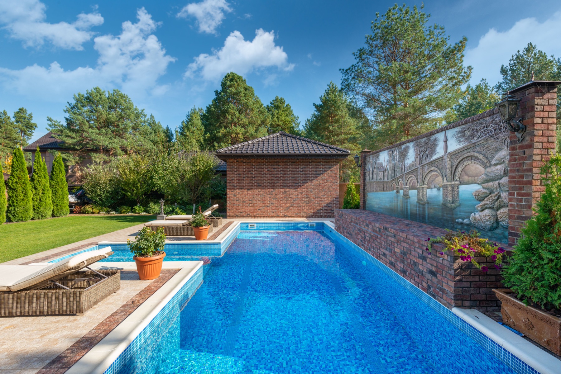 Long backyard lap pool