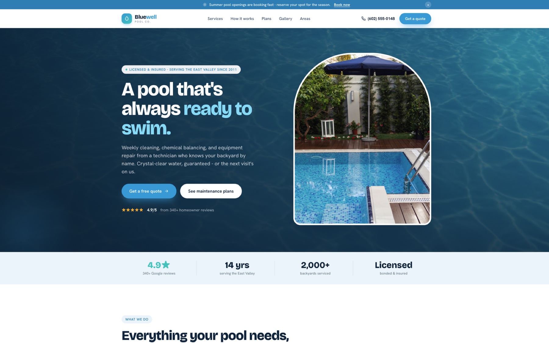 Bluewell Pool Co. demo website preview