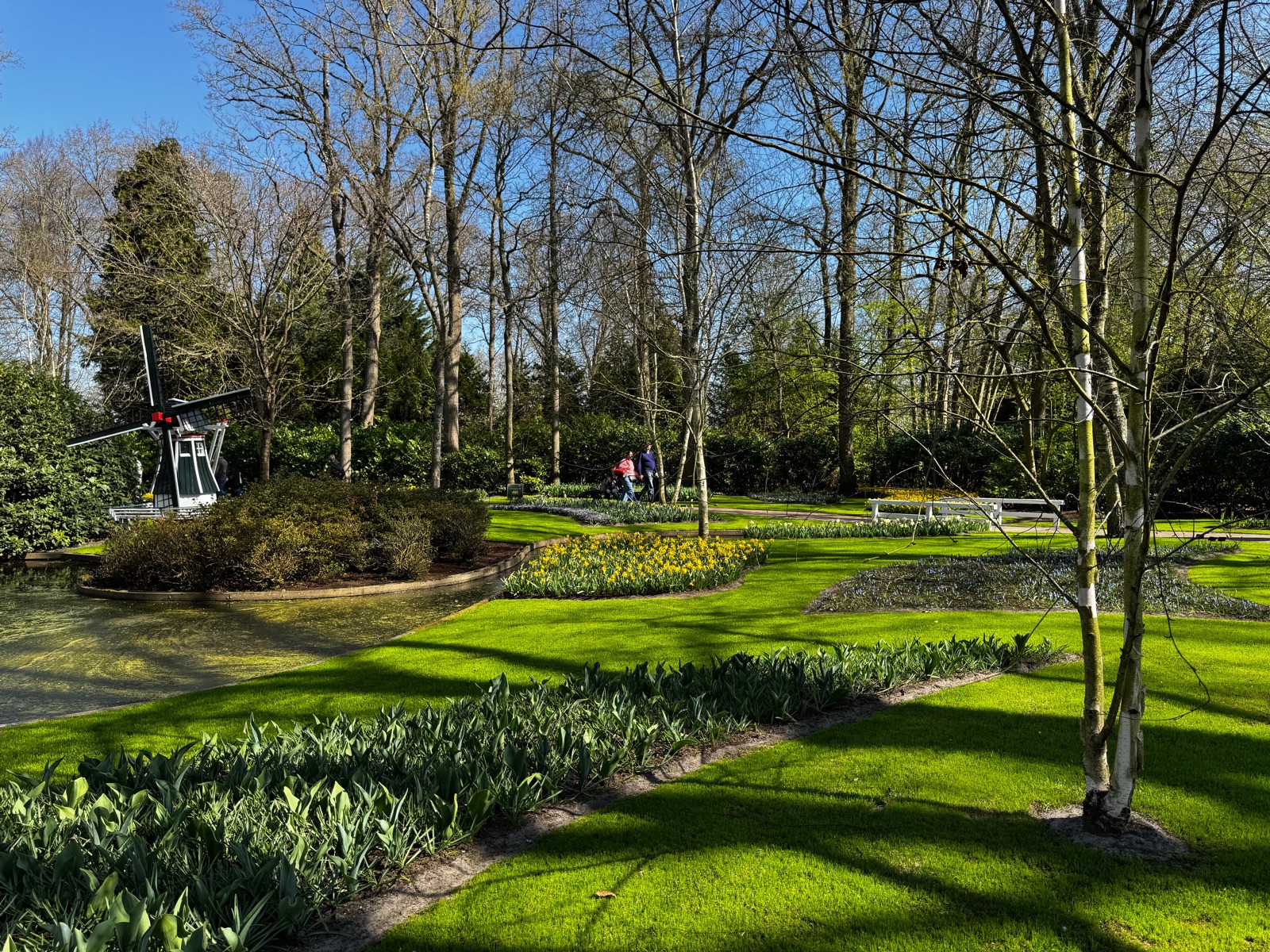 Professionally maintained lawn and garden beds